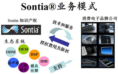 Sontia�l�����������l̎�����g����������Ñ��w�