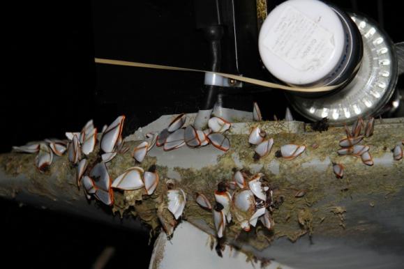 �ׂ����˻���ˮ���C�����ѳɹ��M��̫ƽ��