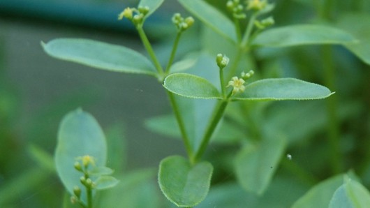 ��ֲ����o������h���Ѻõ���x��늳�