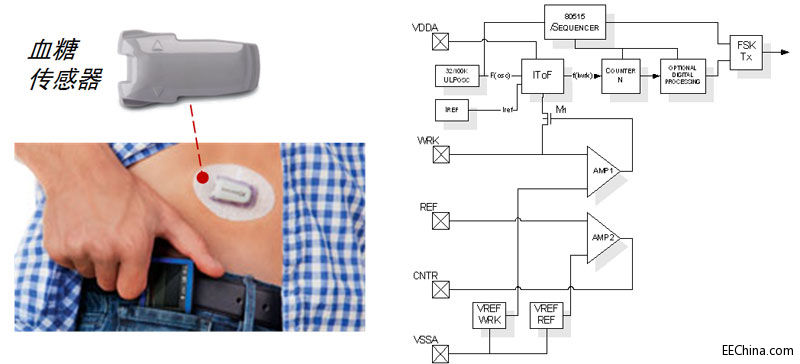 ��ɭ���댧�w����Ї����M��t���Ј�څ�ݵİ댧�w�������ð����о�