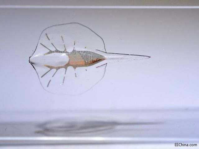 �ƌW���_ʼ�����ɻ��w�M���ͼ������ɵ�����C����