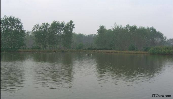 Ԕ�����ˮ�w��ه�ܽ���׃���ı��|