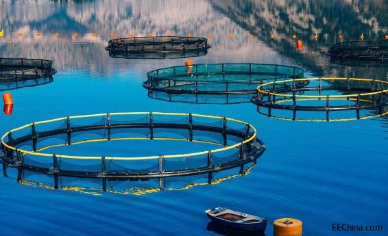 �ܽ�����������ˮ�a�Bֳ�ĺÎ�����