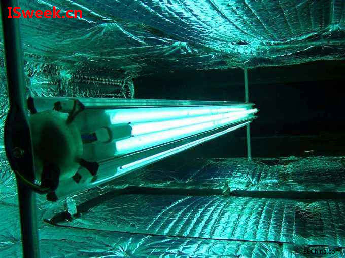 ������ˮ�|(zh��)�����I(l��ng)������⾀������