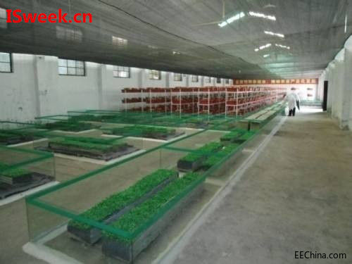 �\Մ�؝�Ȃ������ڷ����ИI�đ���