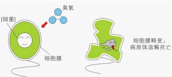 ����������3SP_O3_20�ڳ������������еđ���