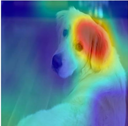 MathWorks �l(f��)�� MATLAB �� Simulink R2020a �汾���鹤�̎��ͿƌW(xu��)���ṩ���� AI ����