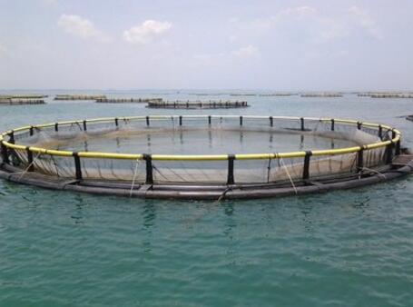 ˮ�a�Bֳ��ʲô��Ҫˮ�|PH������