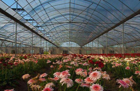 ���ܴ����Б��õ���������Ȃ�����