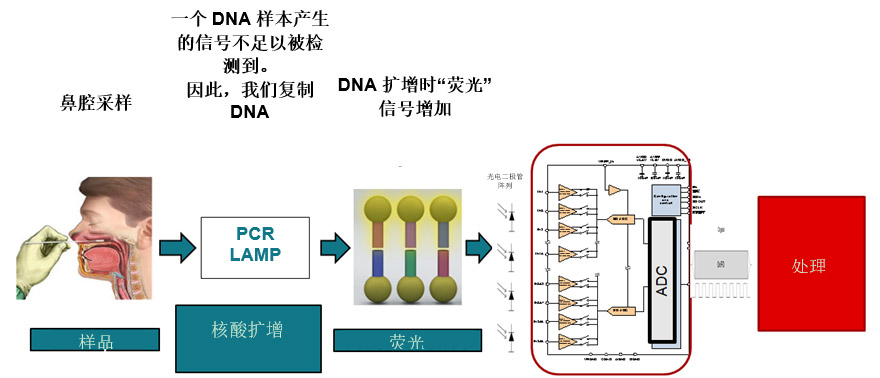 ���÷��әz�y���g�����t�����졢���ʴ_���M�л����\��