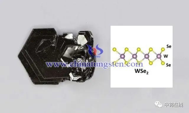 �������u��оƬС�ͻ����ٻ��lչ