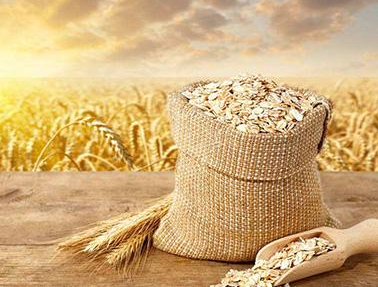 ������̼���������ڇ��ҹ���Zʳ�惦