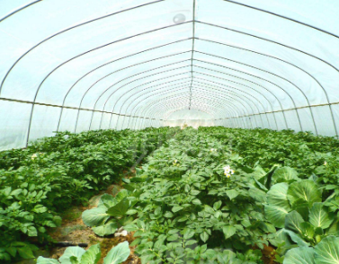 ���ߝ������̼�������ڜ��Ҵ����еđ���