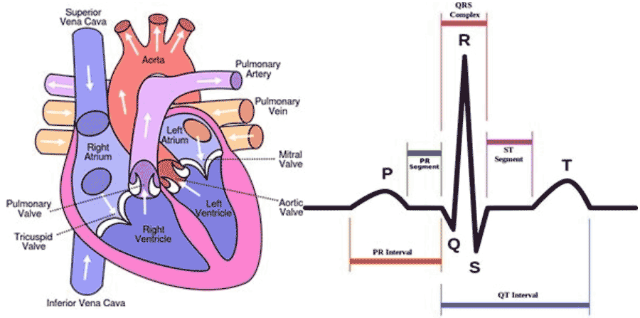 ��һ����yʽ�����\���O(sh��)��׌���˳ɞ��ͥ�t(y��)��