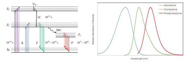 �ɹ��������������ԭ������