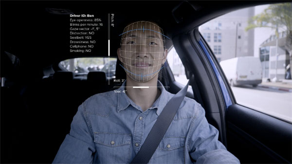 Cipia��Q������������5����܇����