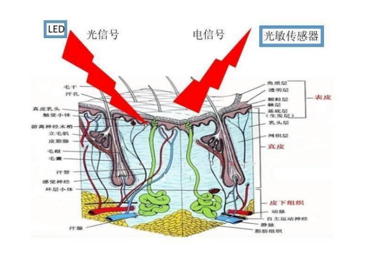 �\���������ʹ�l��оƬ�ڴ����O���еđ���