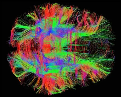 �t(y��)����δ���������d�Ƽ������t(y��)�����`