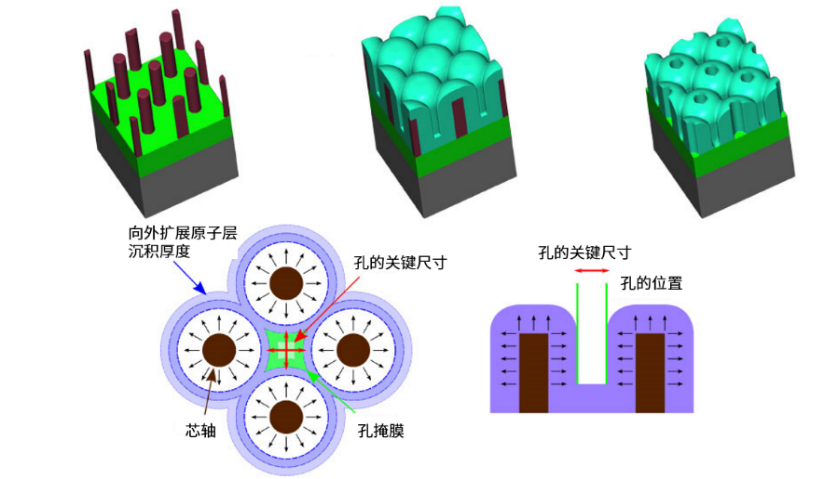 �����������P(FD)�ɷ����g�Ĺ�ˇ�lչ