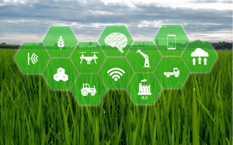 �ضȂ���оƬ�����ǻ��r(n��ng)�I(y��)�I(l��ng)��đ�(y��ng)��