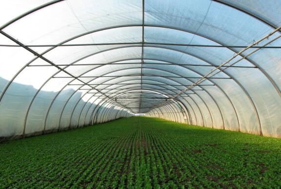 �������r(n��ng)�I(y��)���Ҵ����I���еĜضȂ���оƬ