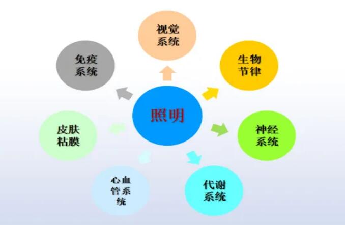 ���������Б��õ�LED������