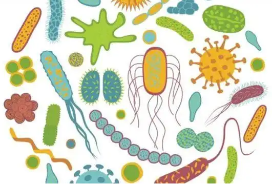 ���V�W������������΢�����Ҝy���՚����ٵđ���