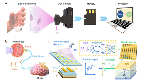 �Ї��ƴ��c�͵���W�������������늸��������о���ȡ�����Mչ