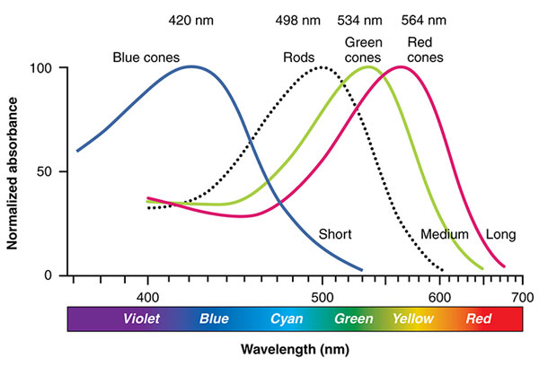 ����֮�ۣ��¿��ɫ�͹��V��������ο����˂�����Ҋ(ji��n)�Ė|��