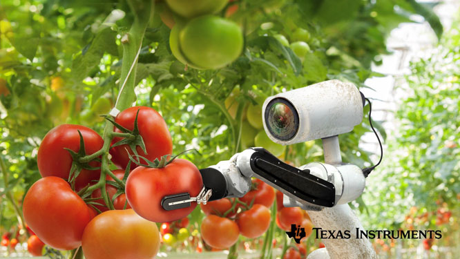 ���M�ĳ����R�^�坍оƬ�M�Ɍ��F���坍�z���^�͂�����