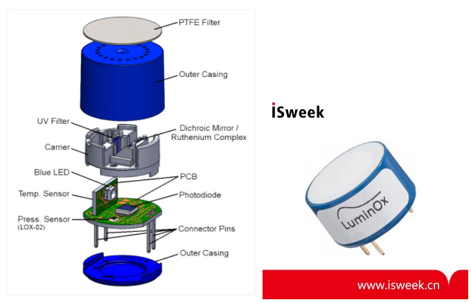 늻��W����������c�ɹ�������������Ă����߃��ݣ�