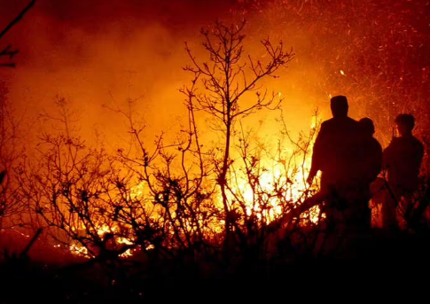 ����z�yϵ�y�и��`�������⾀�������đ���