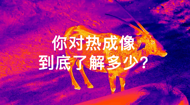 AMEYA360�������������ð������?