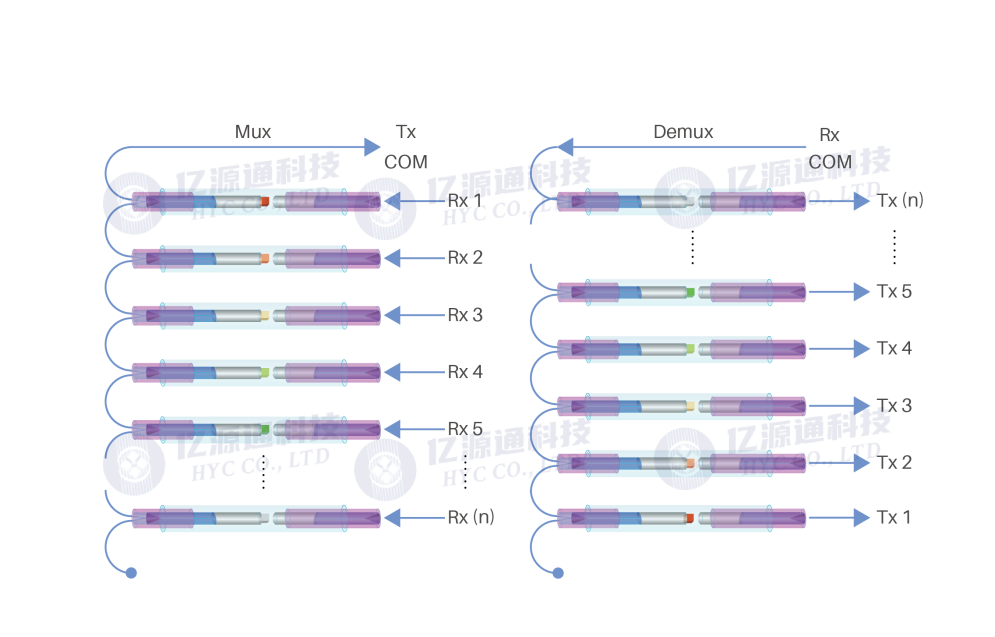�������WDM���֏�(f��)�ü��g(sh��)��U(ku��)չ���w������