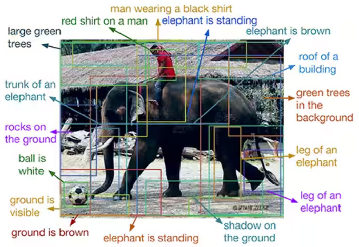 �C(j��)��ҕ�X(ju��)�F(xi��n)������Ƅ�(d��ng)�Ԅ�(d��ng)���İl(f��)չ