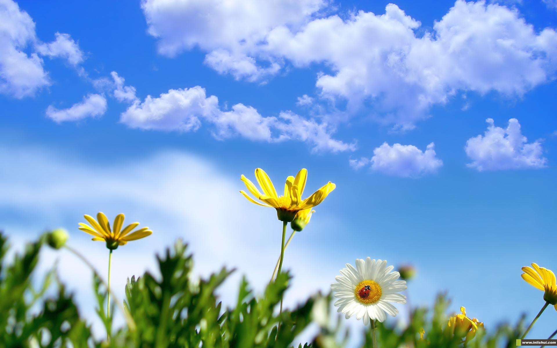 LPC802M001JDH20J��������Ƽ�NXP΢������������