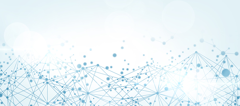 �����L�������ڇ���SAPϵ�y�����ƌ����oҕ���t