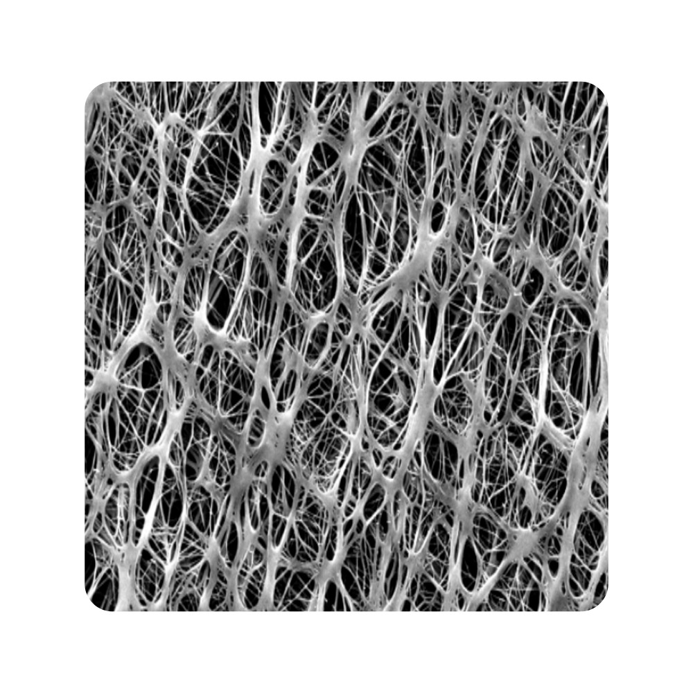 PTFE ͸��Ĥ����ӂ������еđ���