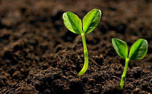 ���w�ضȂ�������RF̎���ޏ�(f��)�������g(sh��)�����еđ�(y��ng)��