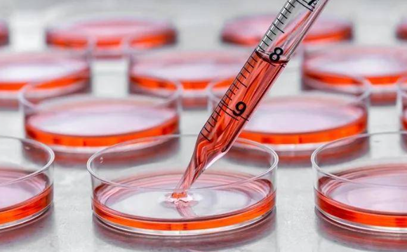 �������B(y��ng)�M�����������ھ��O(ji��n)�y���÷���