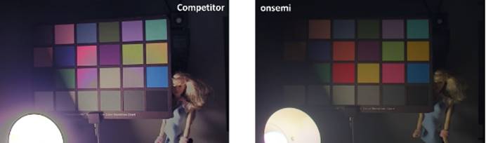 ��ɭ�����M�ĈD����������������·��ȫ