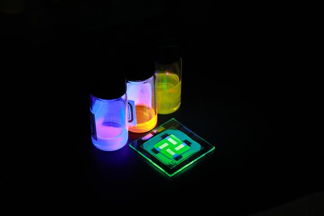 �Ї��ƌWԺ�аl��ȫ���I�ȵ��}⁵V�l����O��