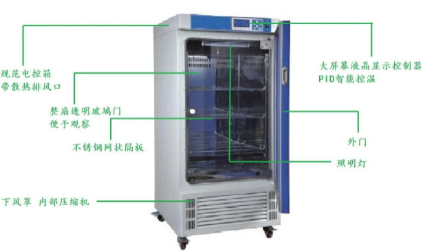 ���������B���е����������