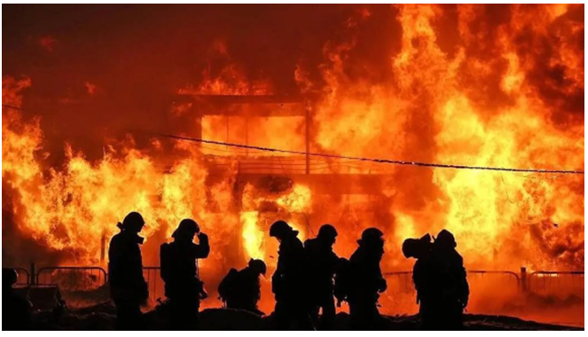 TGS2619-C00���r�O�y������wй©