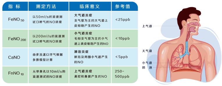 һ��������FeNO������z�y(c��)�������\��͹����đ�(y��ng)��