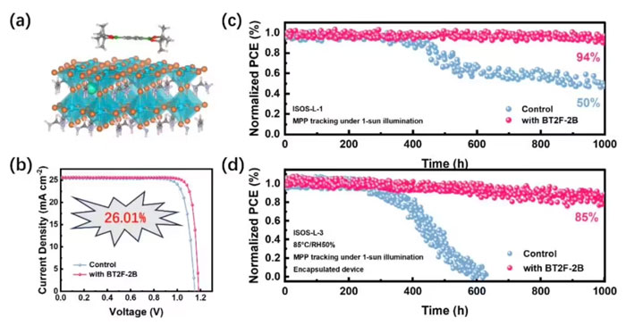 �Ї��ƌWԺ���������������}⁵V̫���늳ط�����
