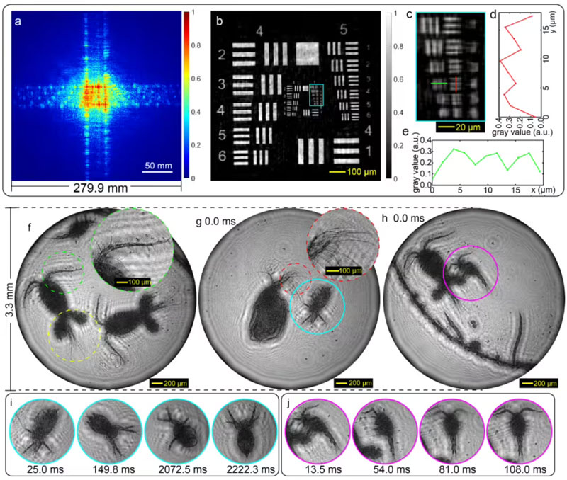 �����Ƽ���W��WԺ�F��ڹ�WӋ������I��ȡ���ش�ͻ��