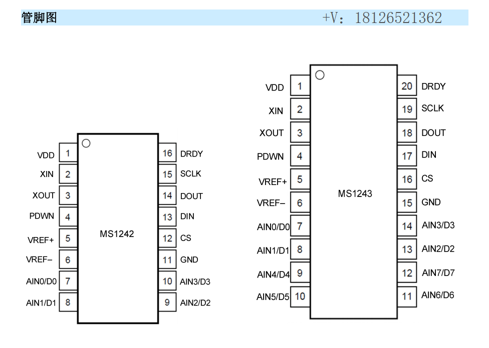 MS1243ģ���D�Q����Pin to Pin����ADS1243