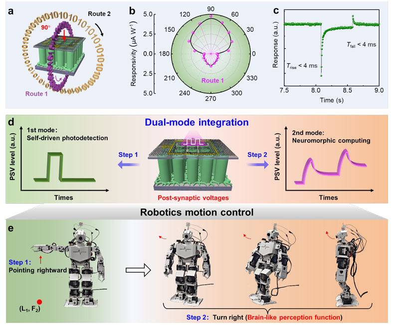 �п�Ժ�F(tu��n)�(du��)�ڵ���扻���Ƭ���������I(l��ng)��ȡ���M(j��n)չ