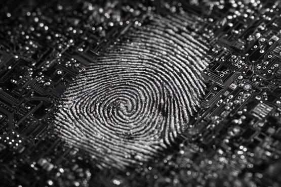 ���|���D(zhu��n)�����挍(sh��)�w�(y��n)��TITAN Haptics�ԿƌW(xu��)�����x���|�X(ju��)�O(sh��)Ӌ(j��)